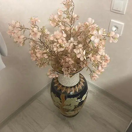 Apartment в къщи *